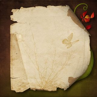 纸，页面，旧，羊皮纸，无人，特写，室内，空白