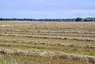 收获, 丰收节, 发茬, 稻草, 栽培, 字段, 农业, 玉米