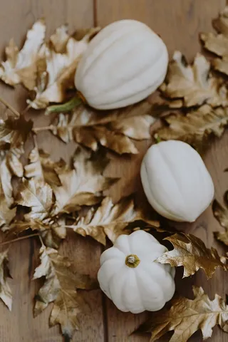 金色橡树叶白南瓜