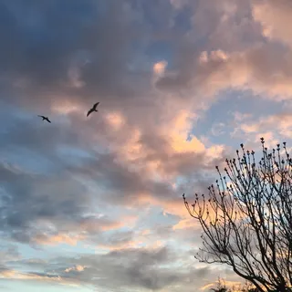 秋天，天空，云，季节，秋天，橙色，日落，海边