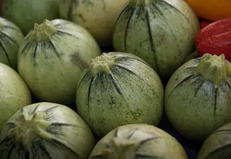 蔬菜,西葫芦,菜园,菜园,食品和饮料,食品,健康饮食,幸福 蔬菜,西葫芦,菜园,菜园,食品和饮料,食品,健康饮食,幸福