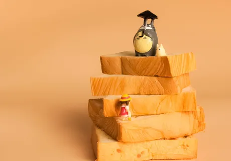 寻找，童年的梦想，托托罗，童年，梦想，寻找托托罗，面包，木材