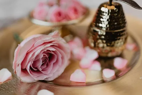 一盘粉红色的玫瑰 一盘粉红色的玫瑰