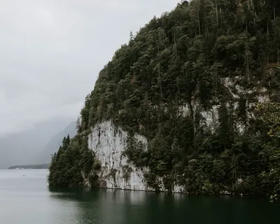 水体旁的树木 水体旁的树木