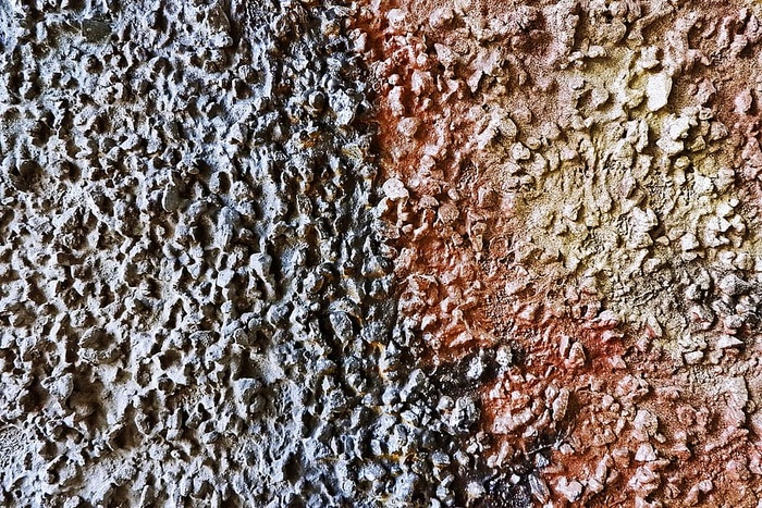 岩石、蜜蜂、昆虫、蜜蜂、动物、无脊椎动物、质地、锈迹