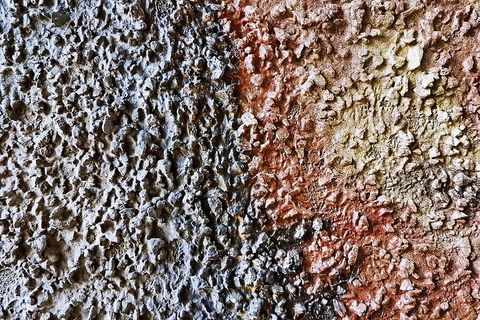 岩石、蜜蜂、昆虫、蜜蜂、动物、无脊椎动物、质地、锈迹