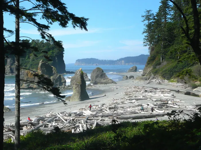 Ruby，Beach，Beach，Washington，Usa，景观，Ruby，Beach，Washington，海岸线