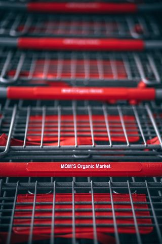 Gray Mom有机市场购物车