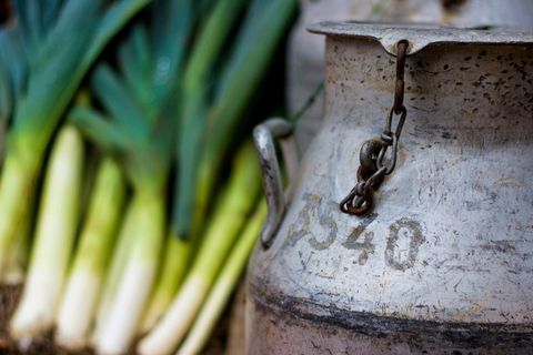 万圣节，秋天，韭菜，罐头，特写，无人，绿色，金属