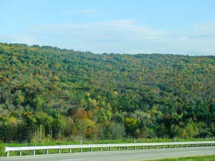 道路、护栏、山脉、树木、天空、植物、树木、自然之美