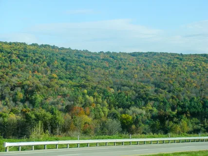 道路、护栏、山脉、树木、天空、植物、树木、自然之美