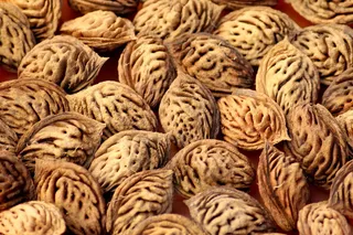 一阵风，桃子的种子，种子，桃子的背景，质地，结构，食物和饮料