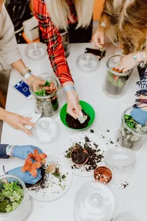 在罐子里建造雨林玻璃器皿