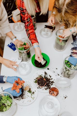 在罐子里建造雨林玻璃器皿