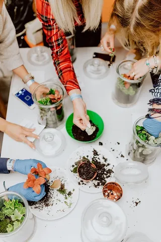 在罐子里建造雨林玻璃器皿
