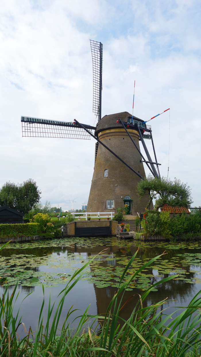 磨坊，风车，kinderdijk，文化遗产，风车，景观，荷兰景观，荷兰