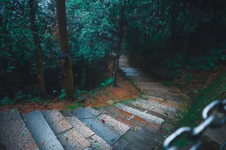 雨，木板，森林，山路，山脉，度假村，石板，新鲜
