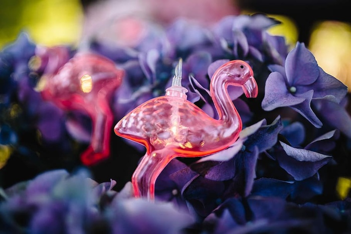 火烈鸟淡花环和粉色花朵