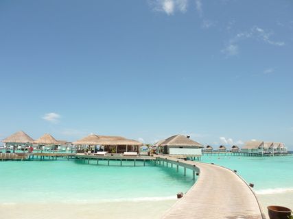 格雷、木板路、白天、马尔代夫、旅游、度假村、岛屿、水上酒店