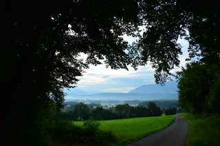 雾，城市，森林，自然，雾，城市，树木，景观，道路