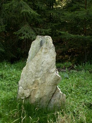 地标、限界、成熟国家森林、石头、矿山、植物、草、土地