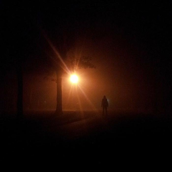 剪影，人物，站立，树叶，夜间，夜间，跟踪者，恐怖