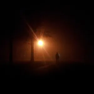 剪影，人物，站立，树叶，夜间，夜间，跟踪者，恐怖