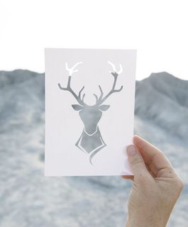 工艺品，高山，货栈，纸张，宁静的景色，野生动物，旅游，娱乐