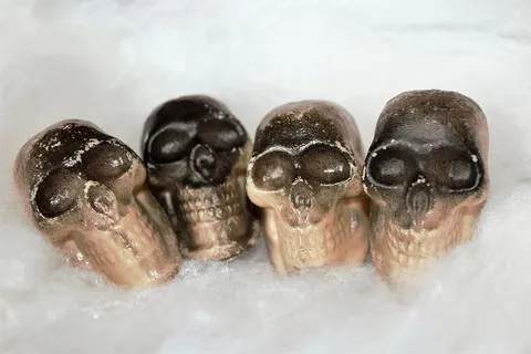 头骨,万圣节,头骨和交叉骨,骨头,头骨,恐惧,神秘,室内 头骨,万圣节,头骨和交叉骨,骨头,头骨,恐惧,神秘,室内