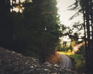 Camigliatello，卡拉布里亚