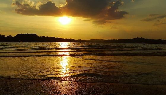 日落，贝特·谢梅什，巴西，三月，橙色天空，倒影，剪影，水