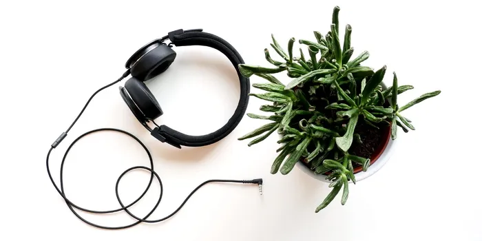 芬兰，音乐，创意，桌子，生长，耳机，植物，表面