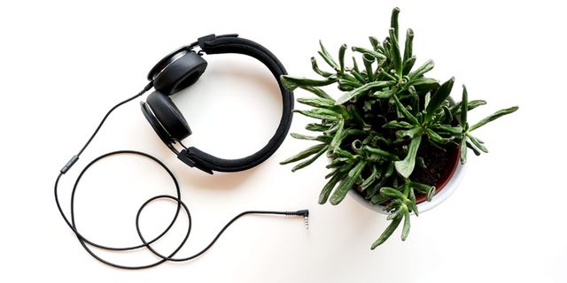 芬兰，音乐，创意，桌子，生长，耳机，植物，表面