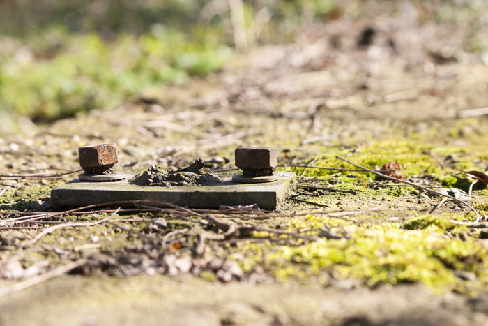 金属，螺钉，母材，不锈钢，自然，旧，螺钉头，选择性聚焦