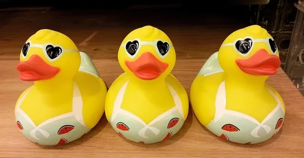 三只穿着比基尼的可爱的黄色塑料鸭。 三只穿着比基尼的可爱的黄色塑料鸭。