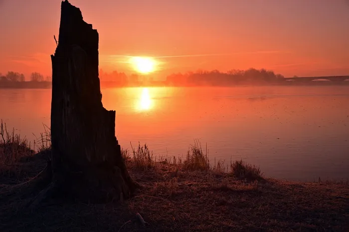 日出、河流景观、morgenrot、天空、心情、照明、大气、河岸