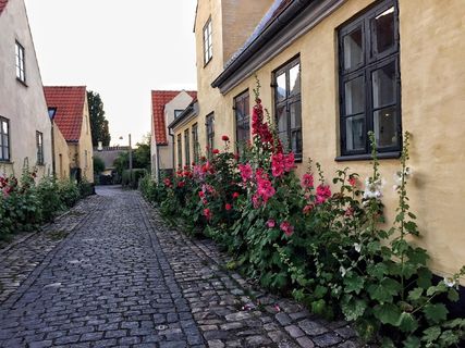 Dragør，铺路石，丹麦，老城，美丽，城市，房子，老