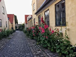 Dragør，铺路石，丹麦，老城，美丽，城市，房子，老