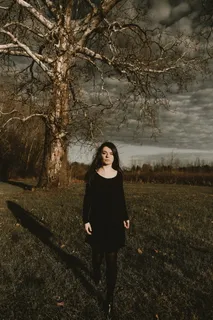 穆迪，十一月，树，森林，肖像，肖像，黑暗，秋天