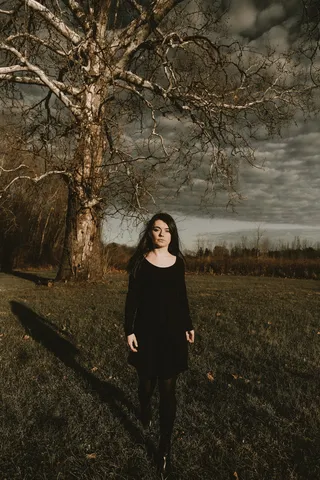 穆迪，十一月，树，森林，肖像，肖像，黑暗，秋天