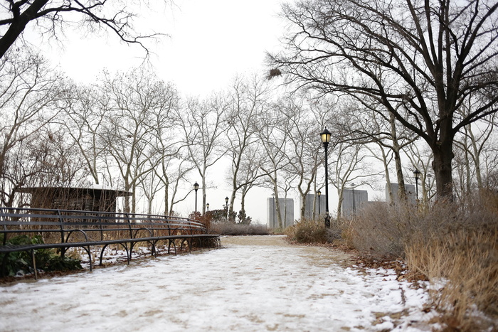 巴特利公园，美国，纽约，冬季，纽约，公园，树木，建筑