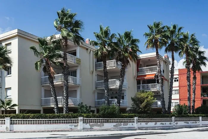 西班牙的棕榈树