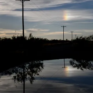 天空，树木，电缆，技术，电力，日落，电力塔，自然