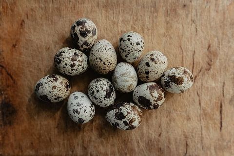 鹌鹑蛋