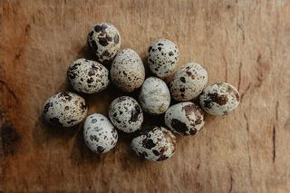 鹌鹑蛋