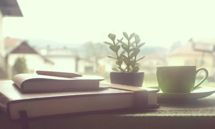 书籍, 阅读, 研究, 学习, 学校, 办公室, 首页, 业务