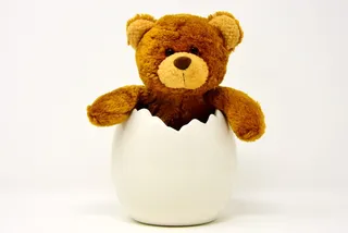 复活节彩蛋，陶瓷，蛋壳，泰迪，复活节，有趣，可爱，软玩具