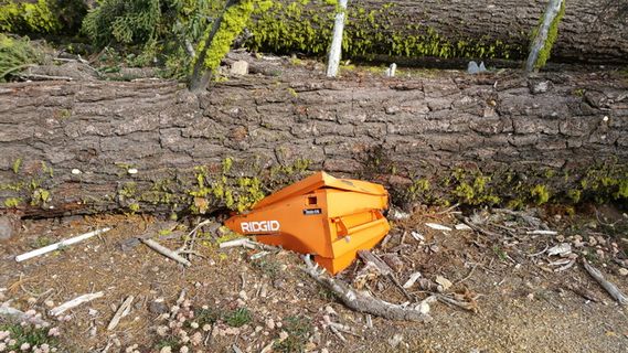 砸了，树，倒了，讽刺，树倒了，树砸了，蜂窝，养蜂