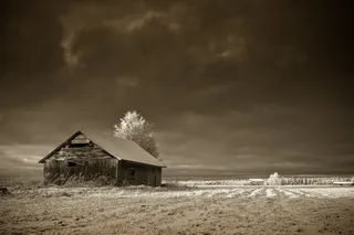 芬兰，马特卡尼娃，树，霜，天空，云，日落，傍晚