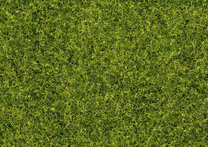 绿草，背景，草，灯心草，图案，结构，草地，绿色